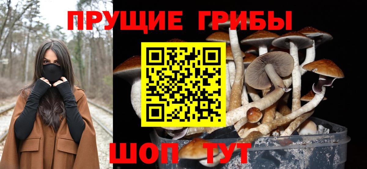 Псилоцибиновые грибы Psilocybine cubensis  Галлюциногенные грибы Magic Shrooms  Вход с VPN  Новый Уренгой 